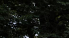 Putin acusa a EE. UU. de querer "desestabilizar" el mundo