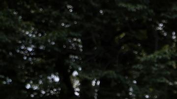 Putin acusa a EE. UU. de querer "desestabilizar" el mundo