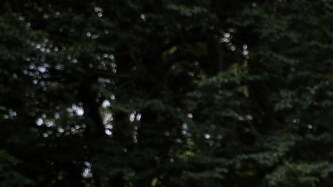 Putin acusa a EE. UU. de querer "desestabilizar" el mundo