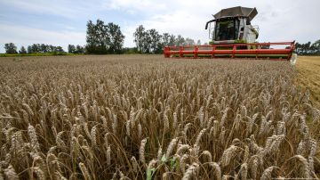 EE.UU. comprará trigo ucraniano para enviarlo a países de África