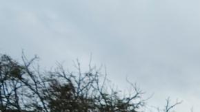 La Unión Europea pide dirimir pacíficamente creciente conflicto electoral en Kenia