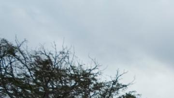 La Unión Europea pide dirimir pacíficamente creciente conflicto electoral en Kenia