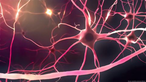 Los humanos no estamos hechos para estar despiertos después de medianoche, advierten científicos