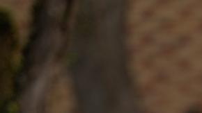 Brasil inicia la campaña electoral más polarizada en décadas