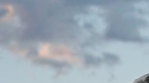 "Entre los blancos, la brecha entre quienes viven en condados demócratas o condados republicanos fue sustancial".