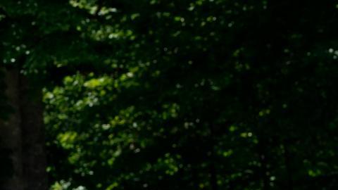 Alemania, Reino Unido y Estados Unidos piden “evitar operaciones militares” en planta nuclear de Zaporiyia