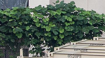 EE.UU. y Corea del Sur inician los mayores ejercicios militares desde 2018