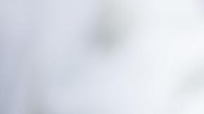 ¿Prohibirá la UE la emisión de visas para ciudadanos rusos?