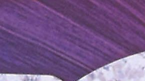 Belinda | Mezcalent.