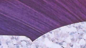 Belinda | Mezcalent.