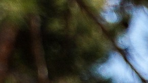 Una protesta contra construir un muro que divida el Parque de la Amistad en la frontera entre San Diego y Tijuana.