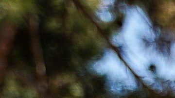 Una protesta contra construir un muro que divida el Parque de la Amistad en la frontera entre San Diego y Tijuana.