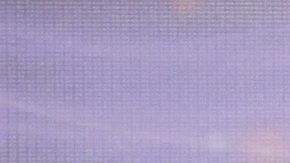 Natalia Téllez | Mezcalent.