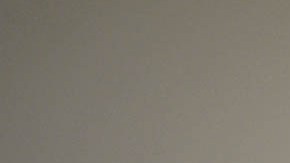 El águila calva habita en América del Norte