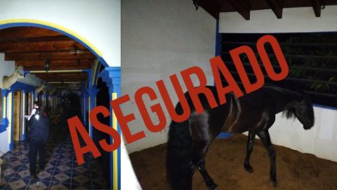 Animales decomisados a narcotraficantes