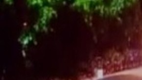 Violenta jornada en Colima tras la captura de un líder del narcotráfico