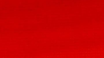 Becky G, cantante de origen mexicano.