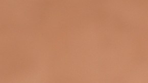 Cardenal Norberto Rivera