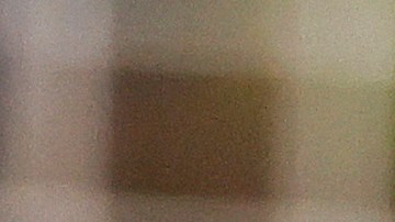 Chicharito celebrando un gol con la camiseta del LA Galaxy.