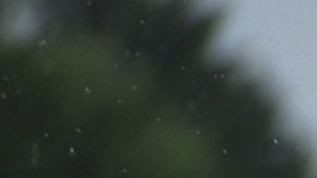 Cinco estudiantes arrestados después de que un amigo fuera empujado de un bote por besar a una chica y murió al golpear una hélice