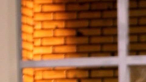 Clarissa Molina, conductora de El Gordo y La Flaca por Univision.