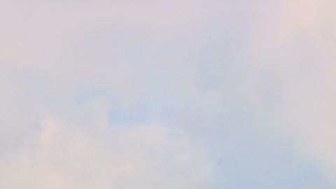 El Congreso finalmente escuchó: "Código Climático Rojo".