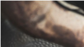 El convertidor catalítico figura como una pieza de alta demanda para ser hurtada en Estados Unidos