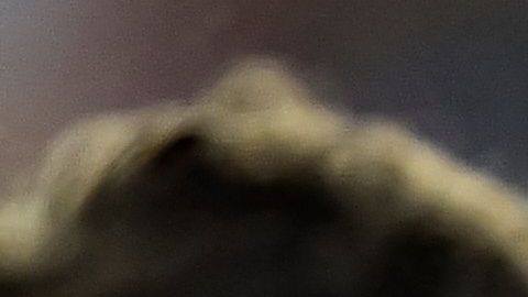 Dani Alves se ganó las críticas de la afición felina por irse a celebrar con el FC Barcelona y no tener sensibilidad con su equipo que fue goleado.