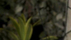 Daniella Navarro & Nacho Casano