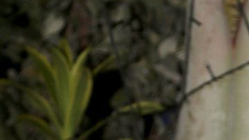 Daniella Navarro & Nacho Casano