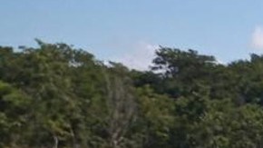 Fuerza Aérea interceptó un avión con más de 400 kilos de cocaína en México