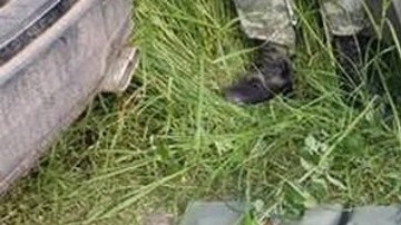 Decomiso de arsenal al CJNG