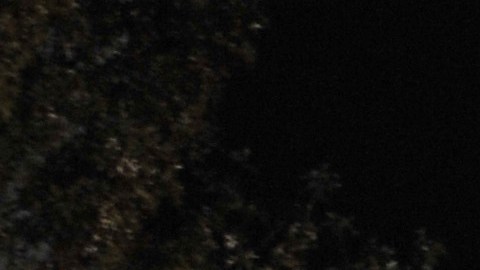 Dos muertos y dos más en estado crítico tras la caída de un rayo cerca de la Casa Blanca