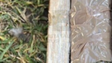 Droga oculta en madera