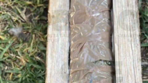 Droga oculta en madera