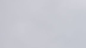 Asaltantes del Capitolio.