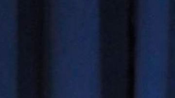 Carl Paladino