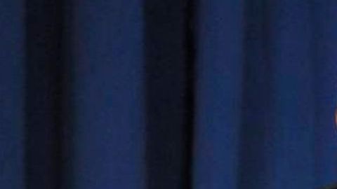 Carl Paladino