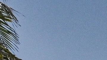 Se especifica fecha y hora de las órdenes que se ejecutaron.