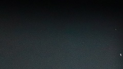 El presente de Dani Alves en Pumas se complica y no llegan los resultados.