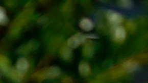 “Espero que te violen”, furiosa mujer antiaborto golpeó en la cara repetidamente a activista adolescente que tocó a su puerta en Kansas