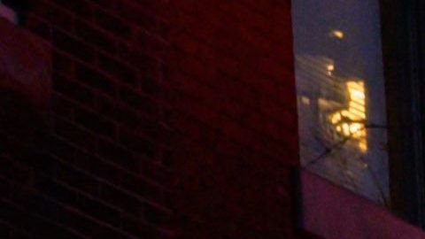 “Están todos muertos”, familia completa de 10 integrantes, incluidos 3 niños, muere en un incendio en Pennsylvania