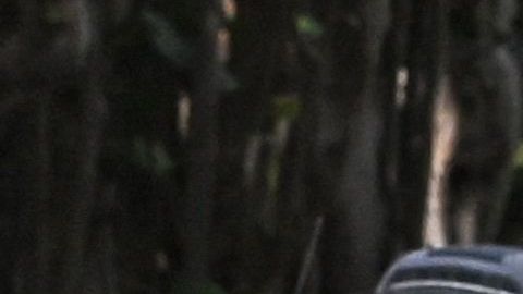 FBI confiscó 11 juegos de documentos clasificados, algunos ultra secretos en la redada a la mansión de Trump en Mar-a-Lago
