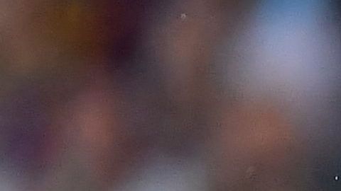 Pumas fue aplastado por el FC Barcelona tras una presentación brillante de Lewandowski.