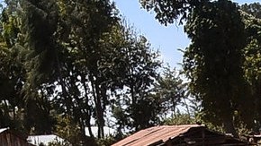 Familia en vacaciones de ensueño murió junto a mujer piloto cuando su avión se desplomó en un río mientras se escuchaban sus gritos