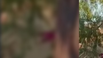 Fiesta en finca de Sinaloa