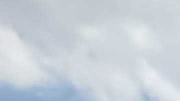 Frente al Palacio de Bellas Artes