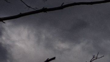 Fuga en planta nuclear de Zaporizhzhia en Ucrania podría provocar un desastre nuclear 10 veces más grande que Chernóbil