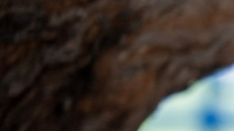 Estudiantes y maestros del SMBCCS. (Suministrada)