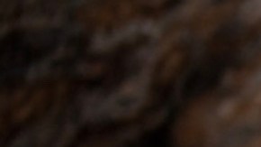 Estudiantes y maestros del SMBCCS. (Suministrada)